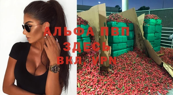 Альфа ПВП Магадан
