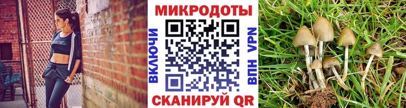 Купить закладки  Тутаев  Галлюциногенные грибы мухоморы 