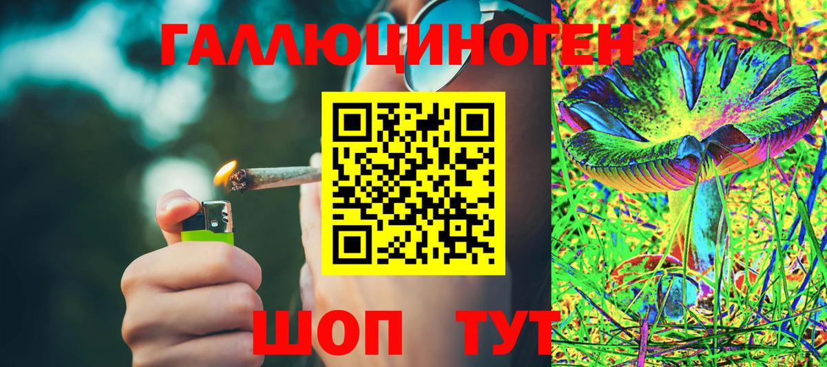 Галлюциногенные грибы Cubensis Тутаев